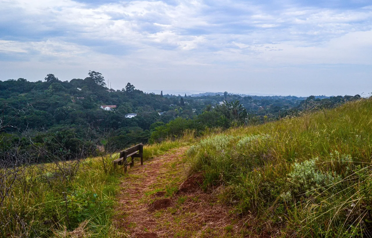 DSC_7318.jpg