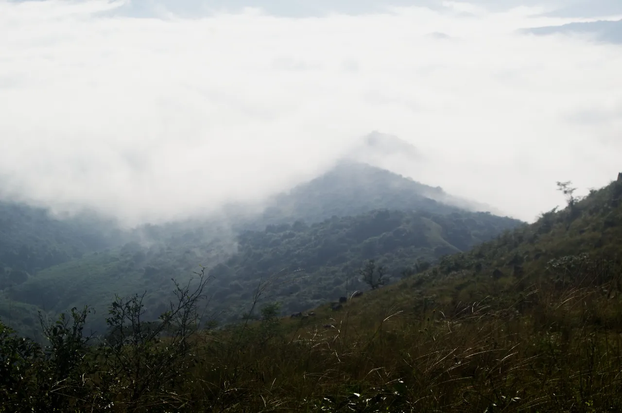 DSC_1618.jpg