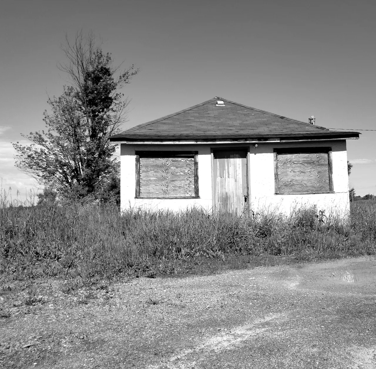 abandonned1_full_bw.jpg