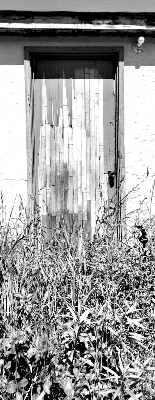abandonned1_bw.jpg