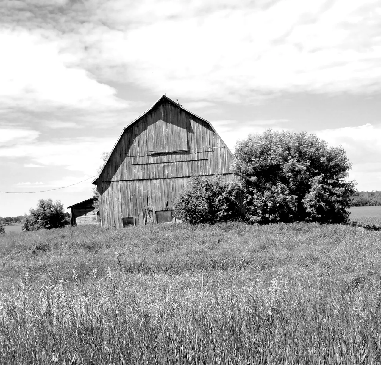 abandonned3_bw.jpg