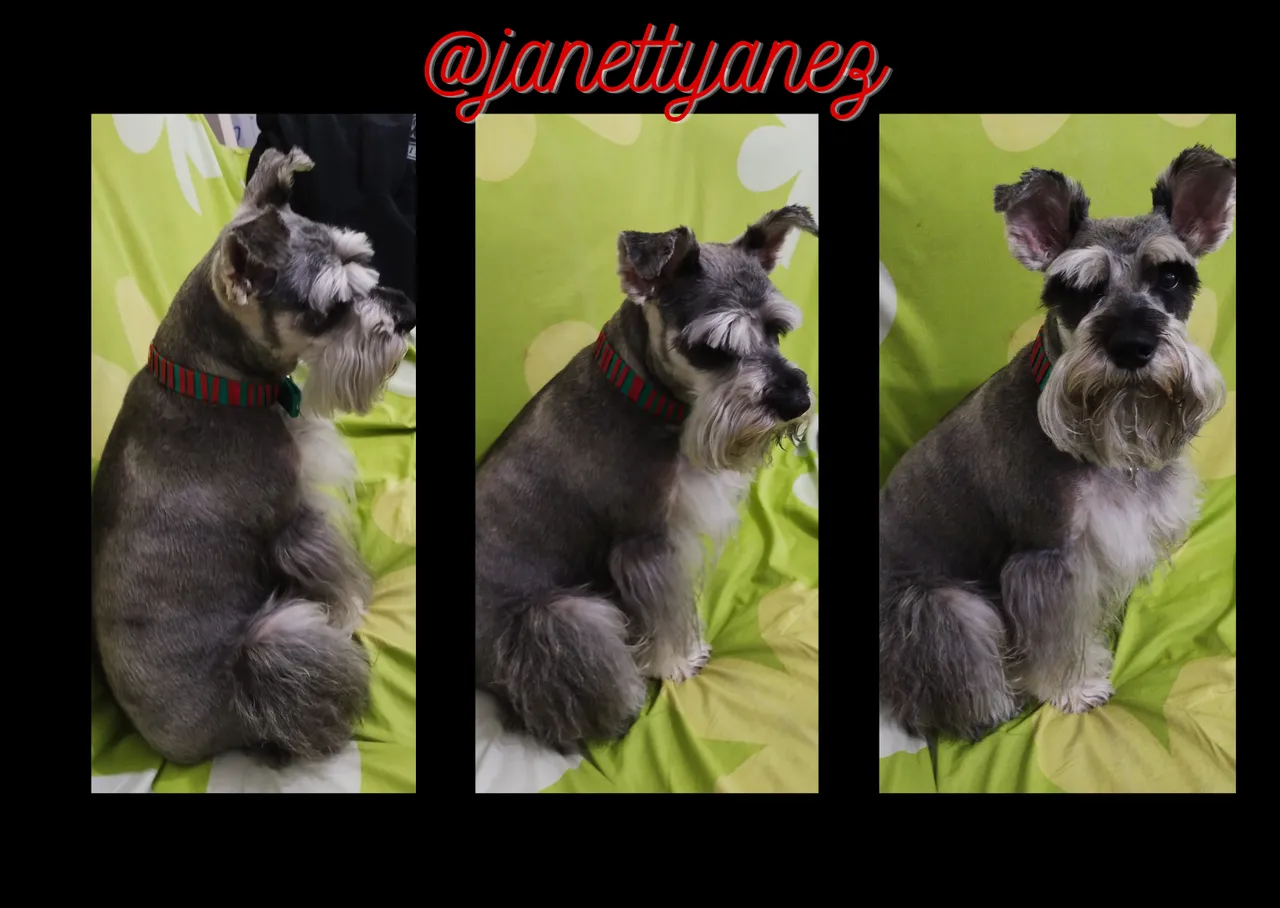 Tips for editing images (4).png