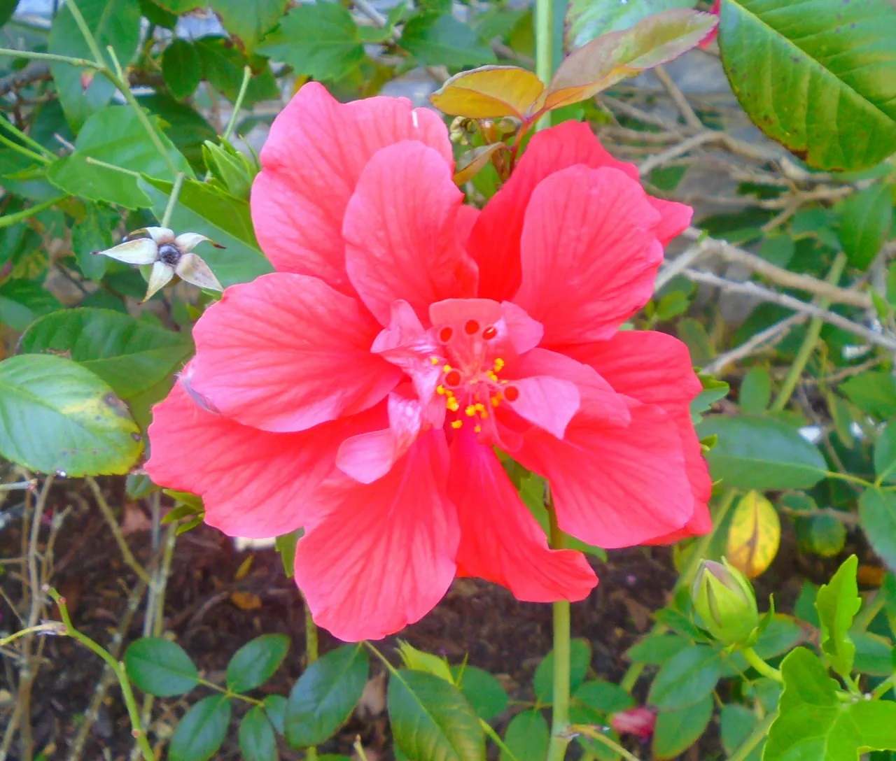 DSC02470.JPG