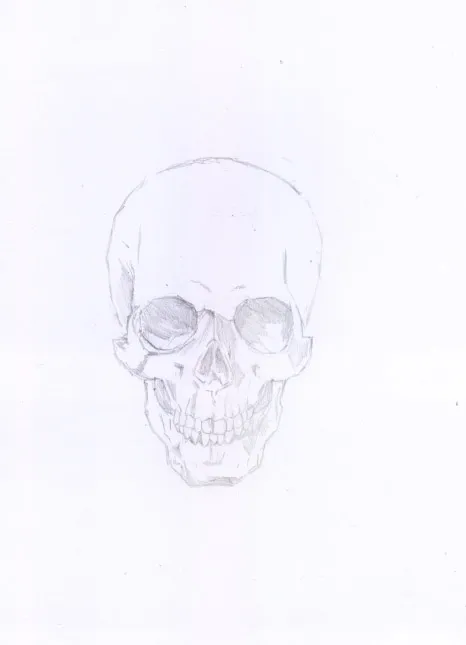 skull01.jpg