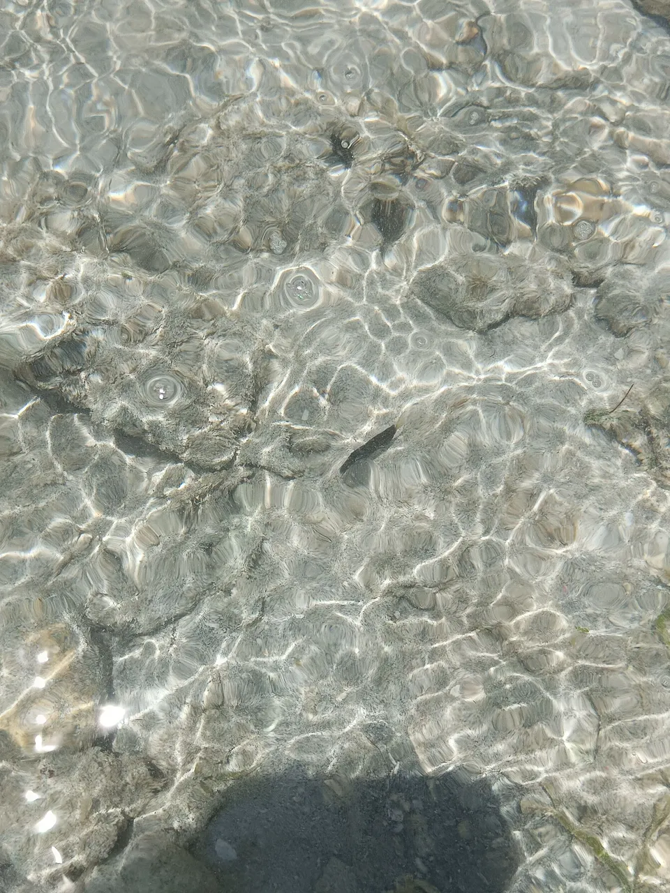 IMG_20240818_110828_045.jpg
