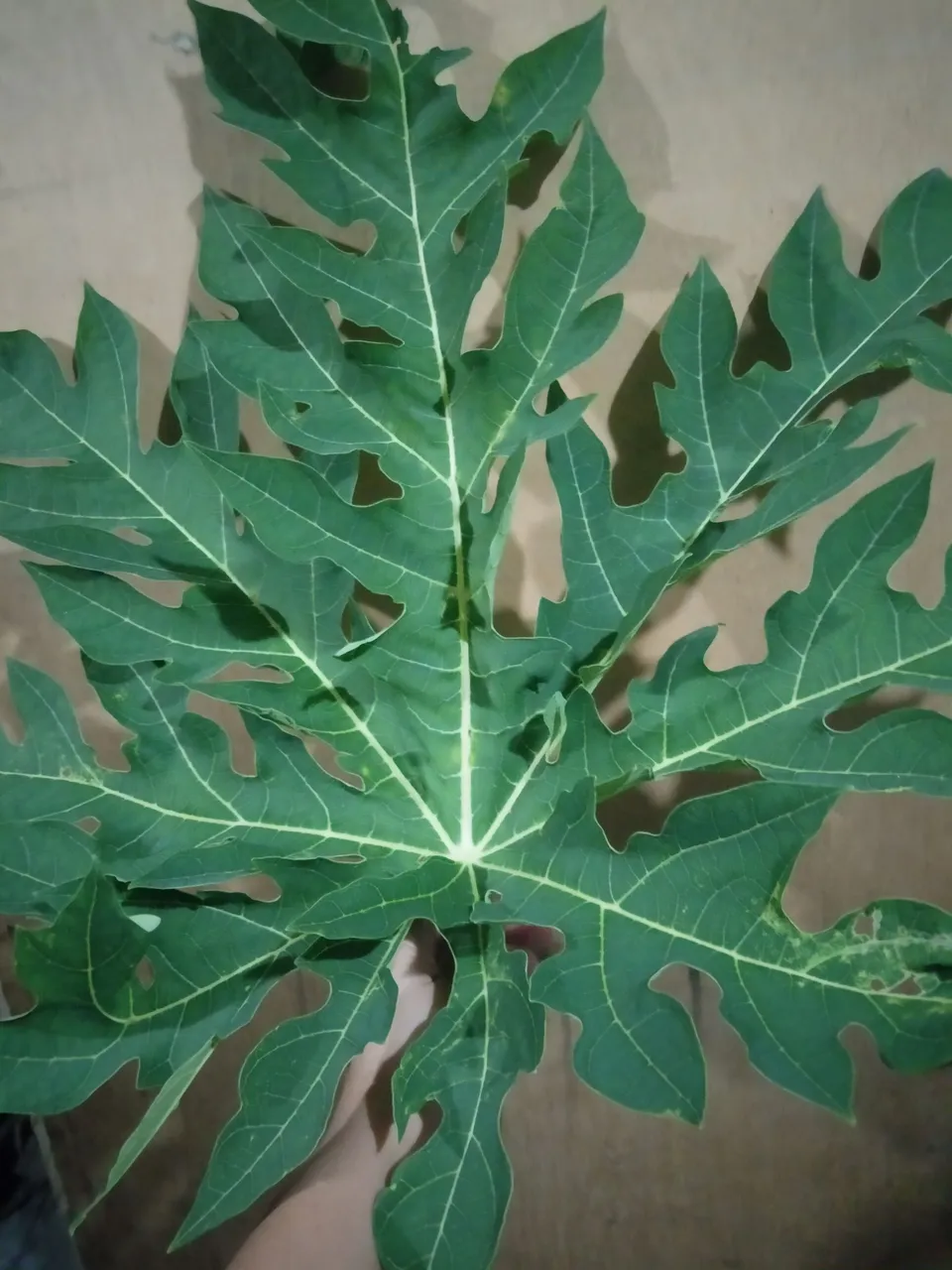 IMG20221107200219.jpg