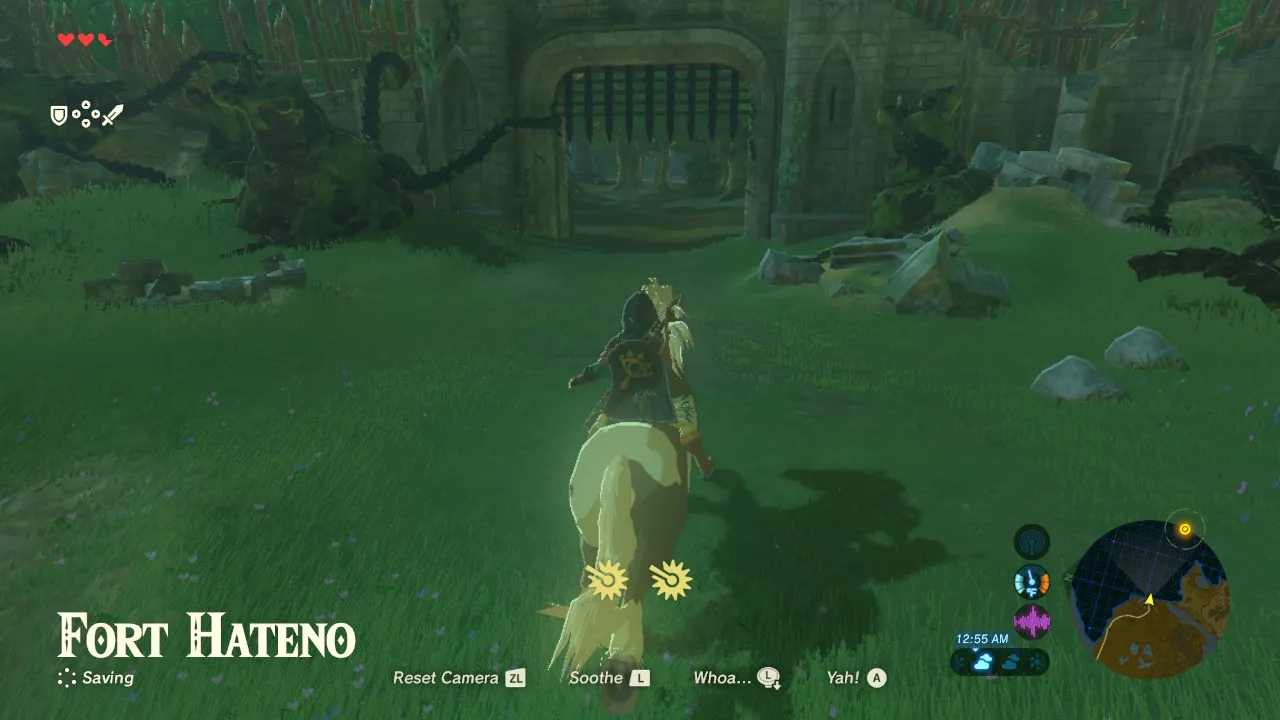 48botw.jpg