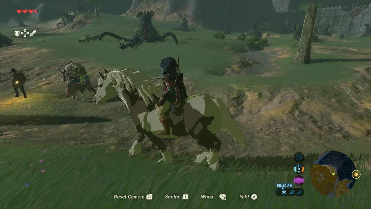 47botw.jpg
