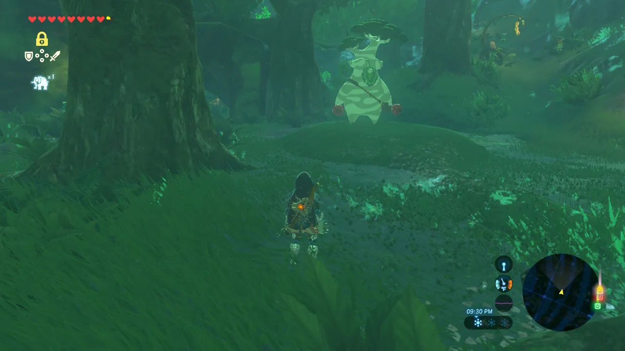 134botw.jpg
