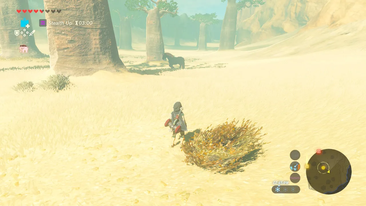 121botw.jpg