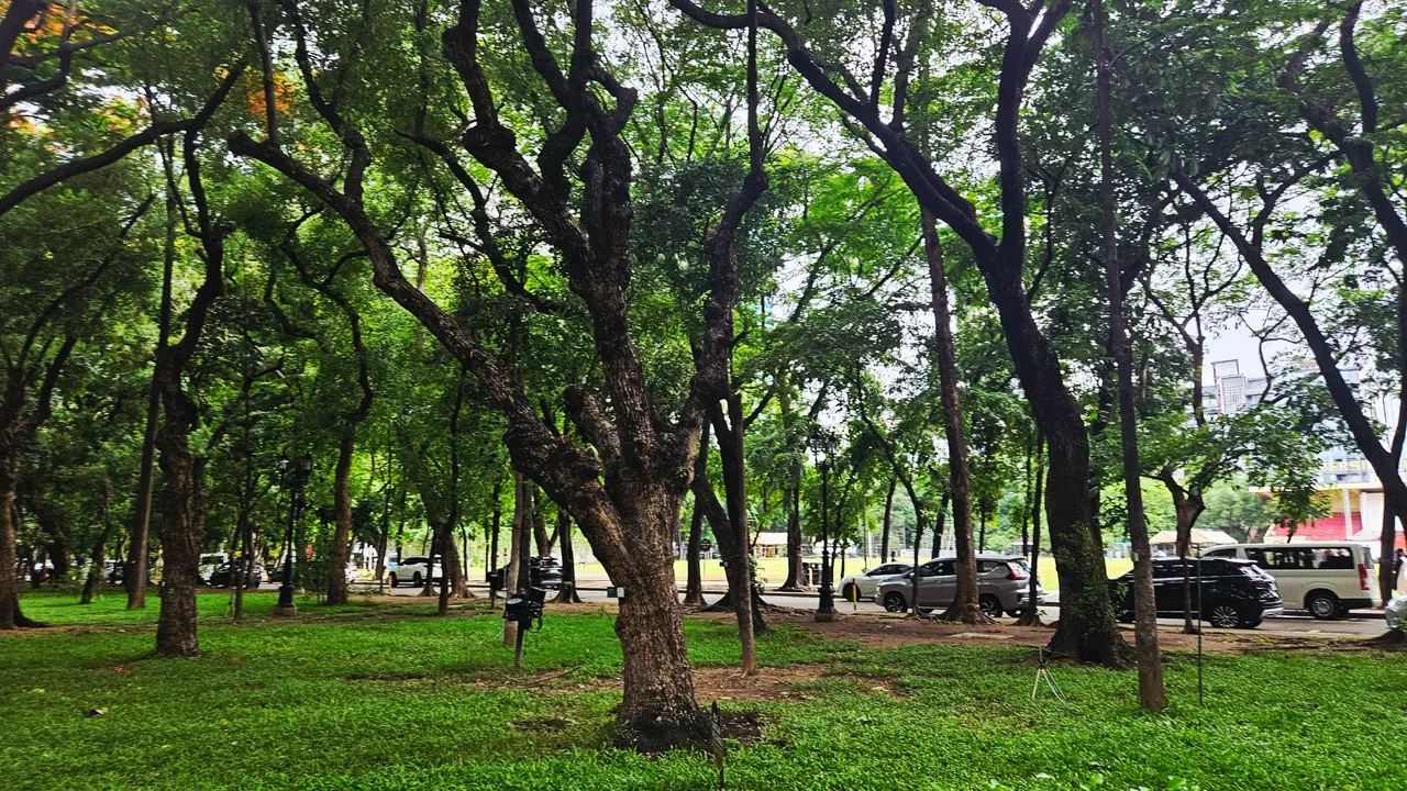 walk36.jpg