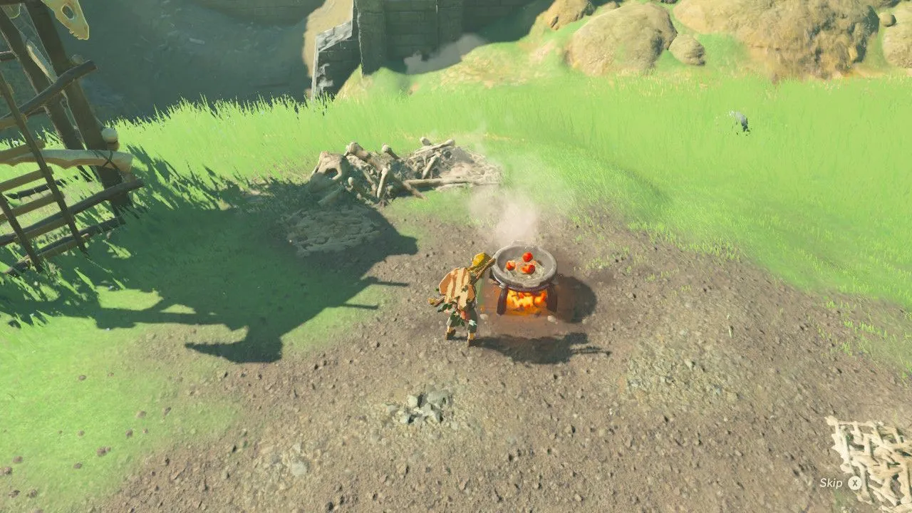 11botw.jpg