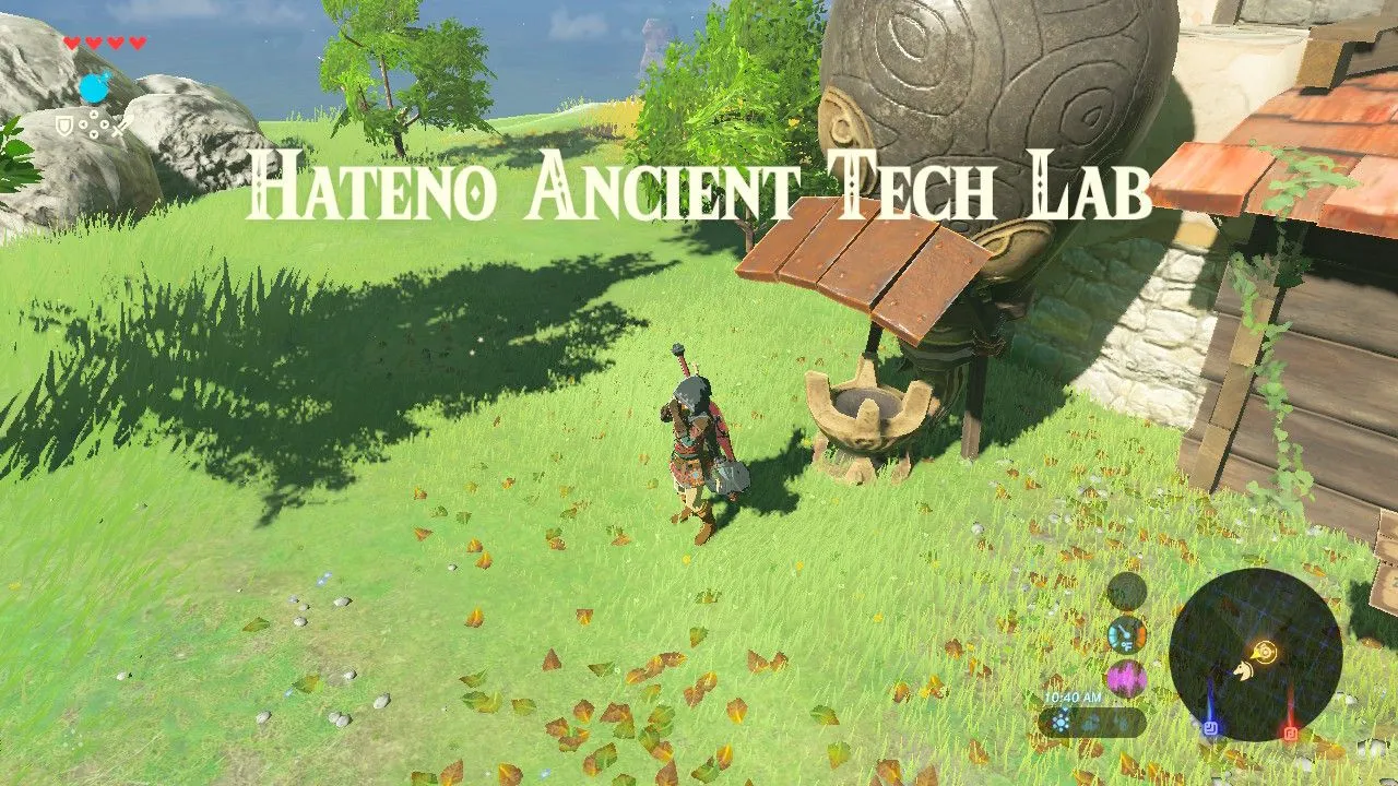 49botw.jpg