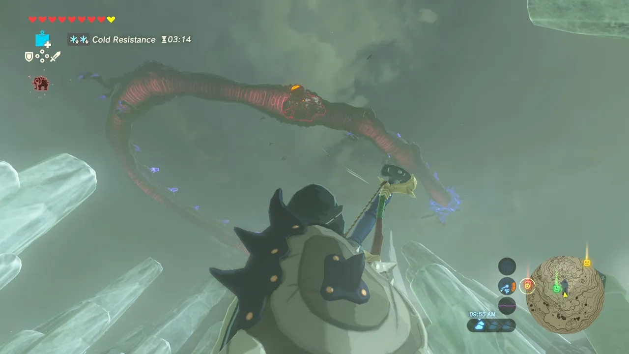112botw.jpg