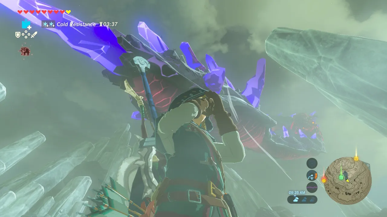 111botw.jpg