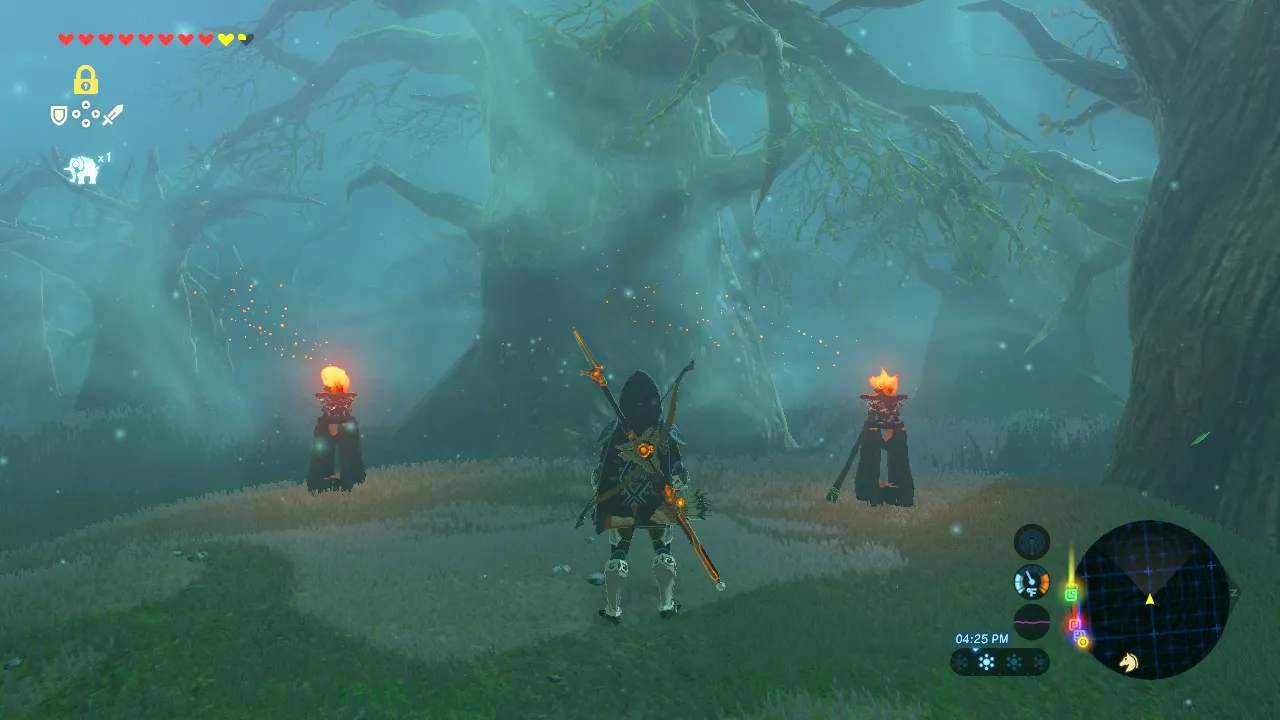 130botw.jpg