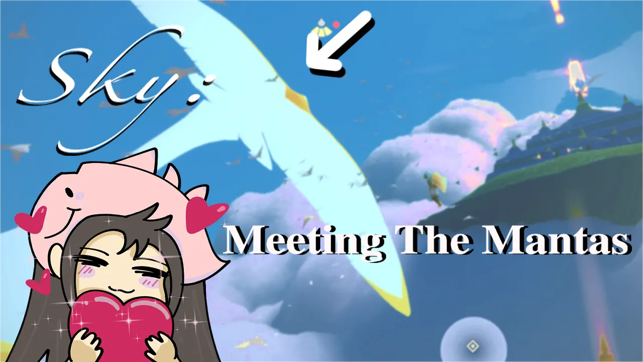 8skycotl2banner.png