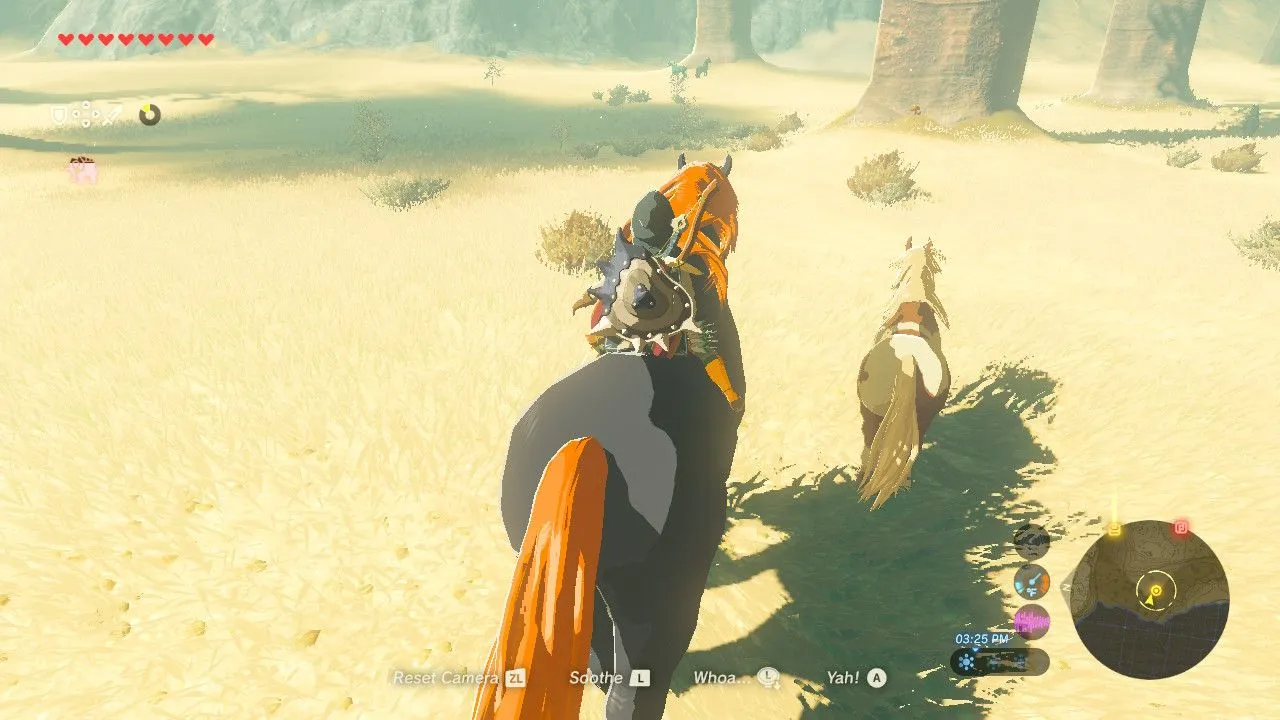 123botw.jpg