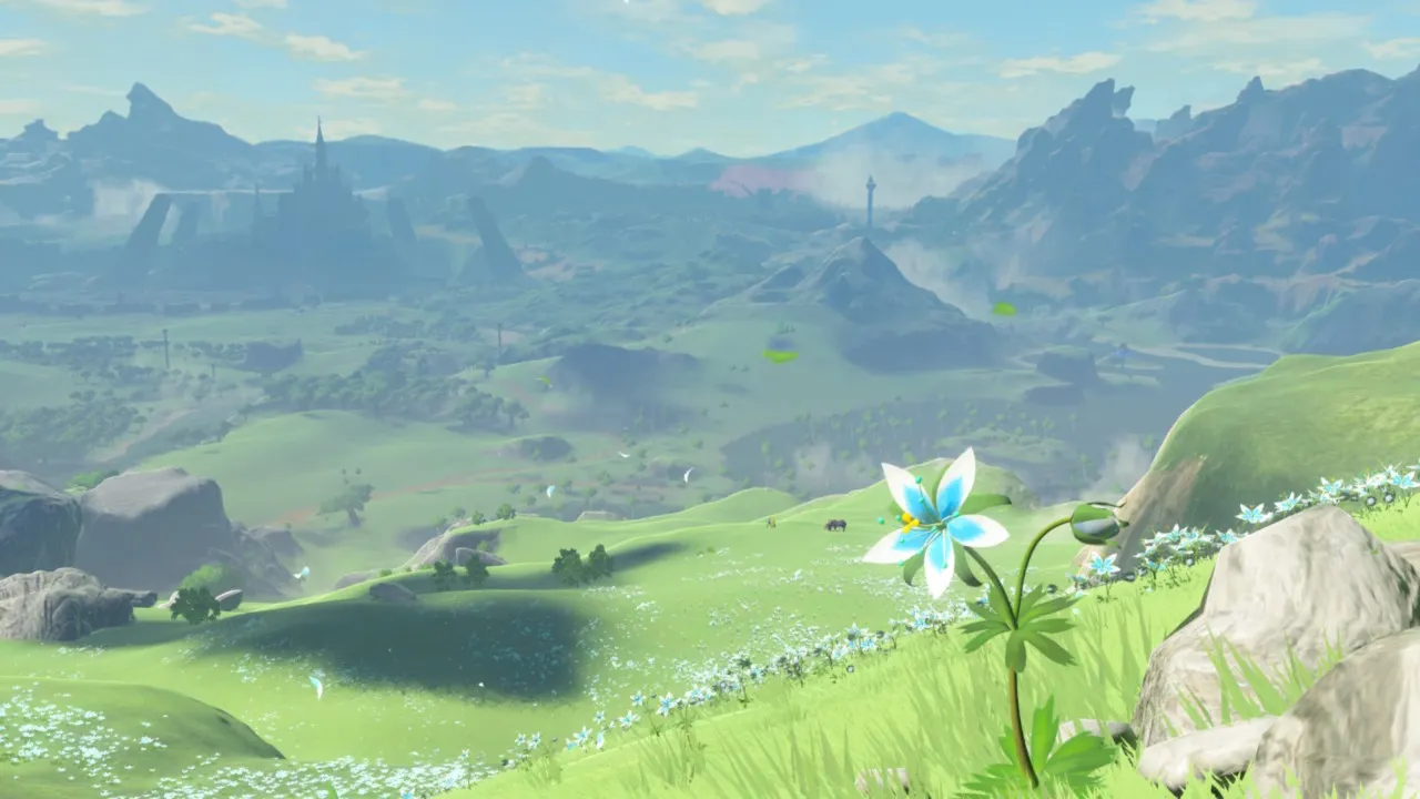 246botw.jpg