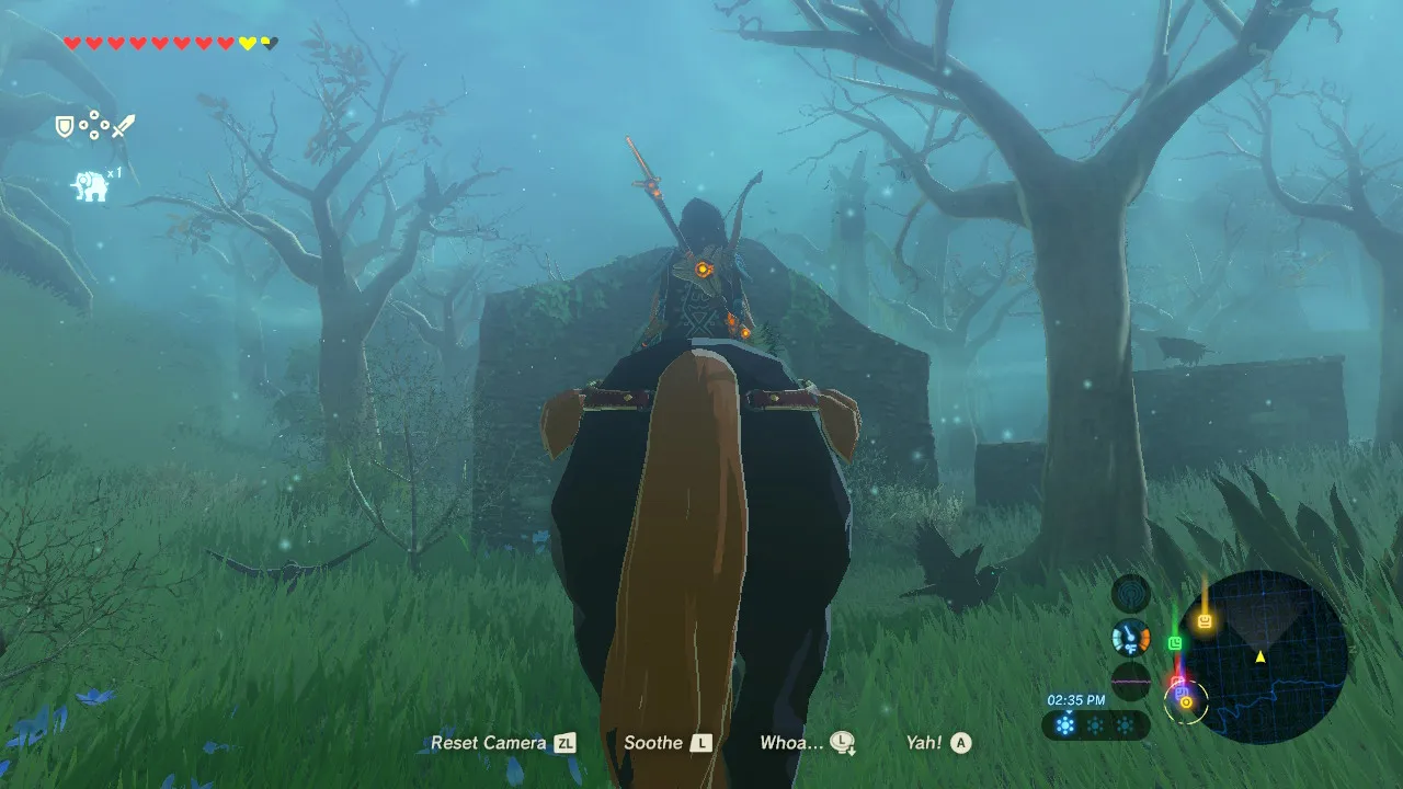 129botw.jpg