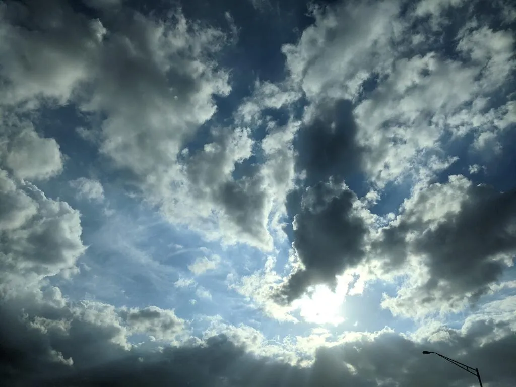 AC3C08EC-907E-4745-B0B9-9A3B847E8366.jpeg