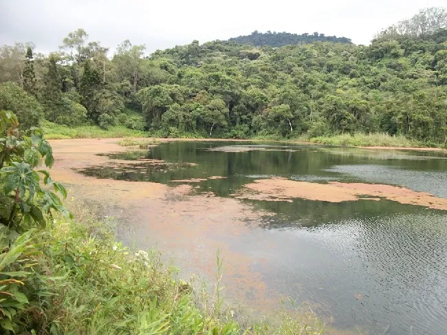 Sabana (foto propia).jpg