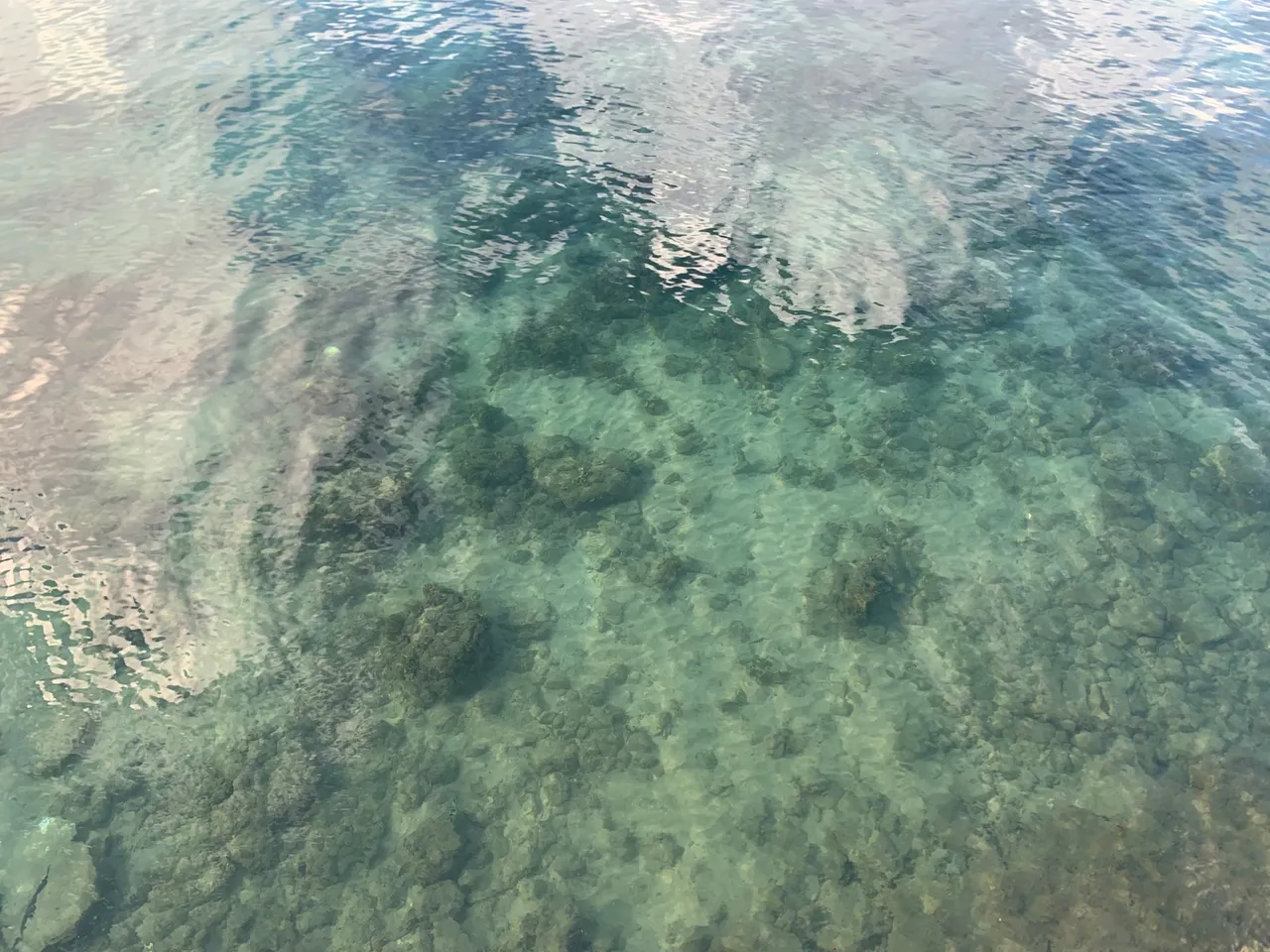 IMG_4353.jpeg