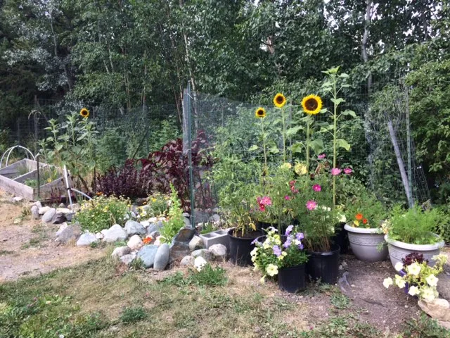 full view of my garden