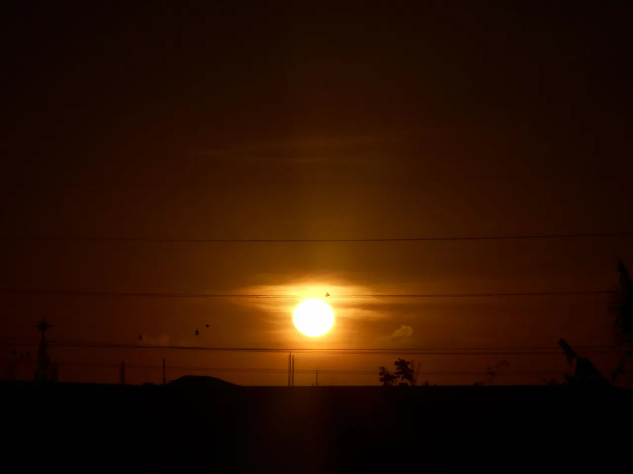 DSCN2496.JPG
