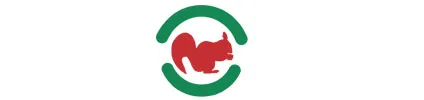 Eichhörnchen_Eckernförde.jpg