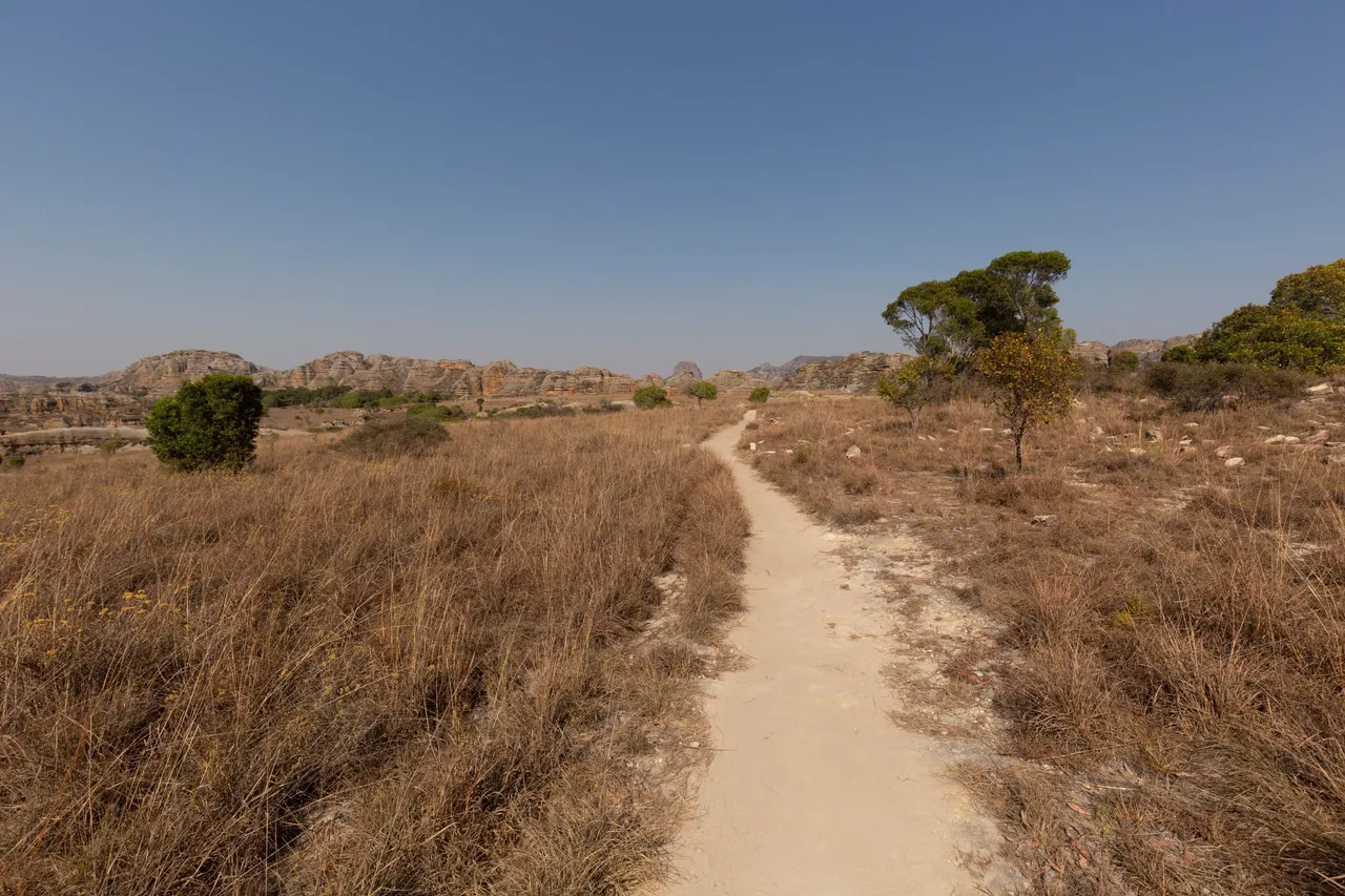 Madagascar_096.jpg