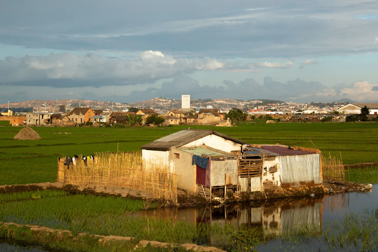 Madagascar_005.jpg