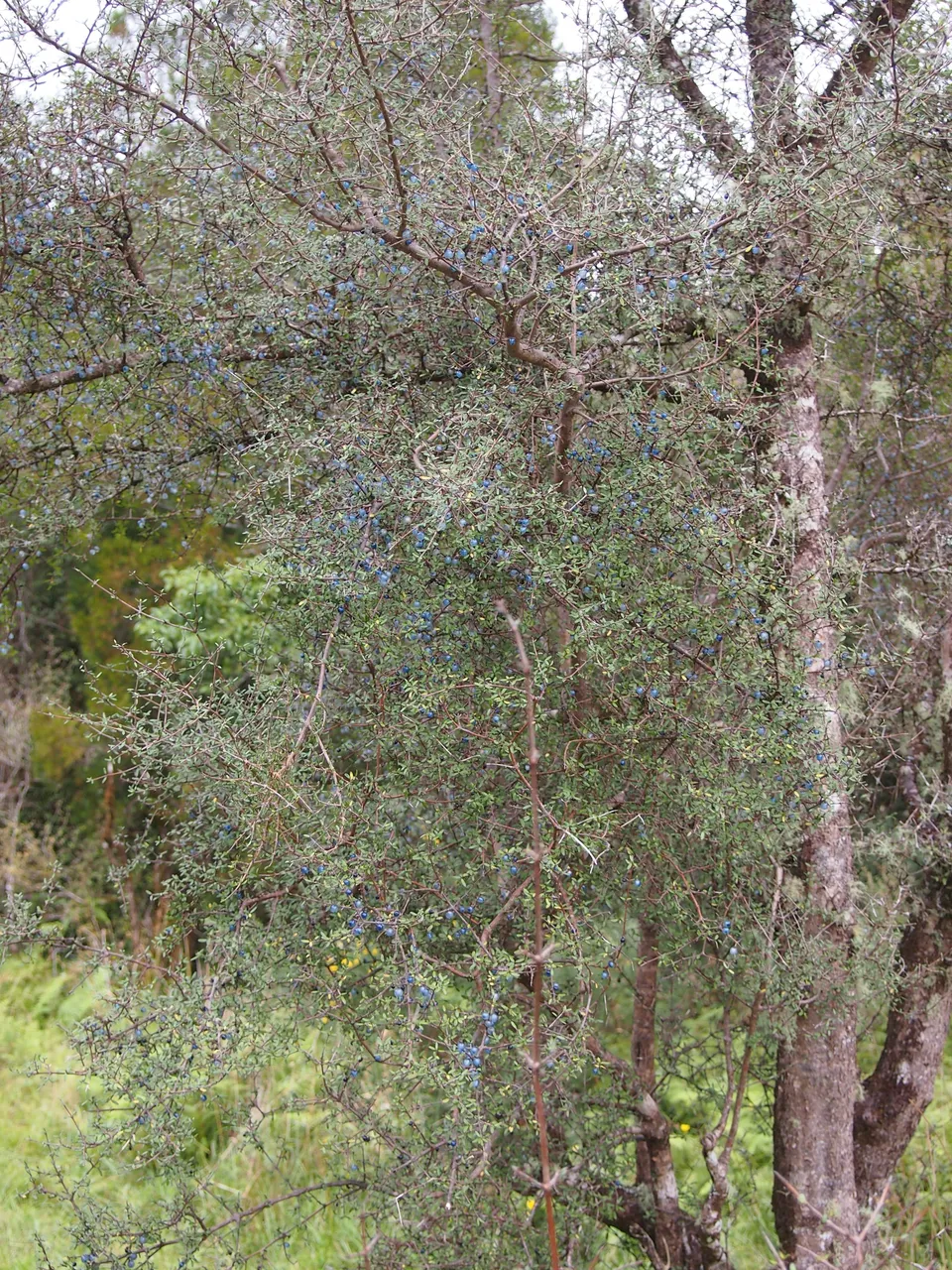 P4052597.JPG