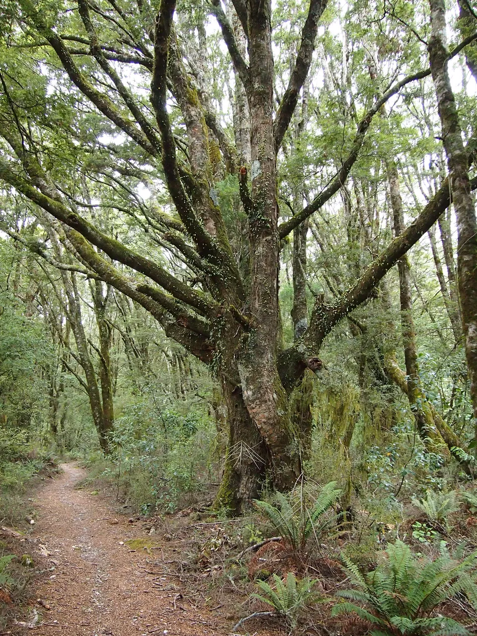 P2032344.JPG