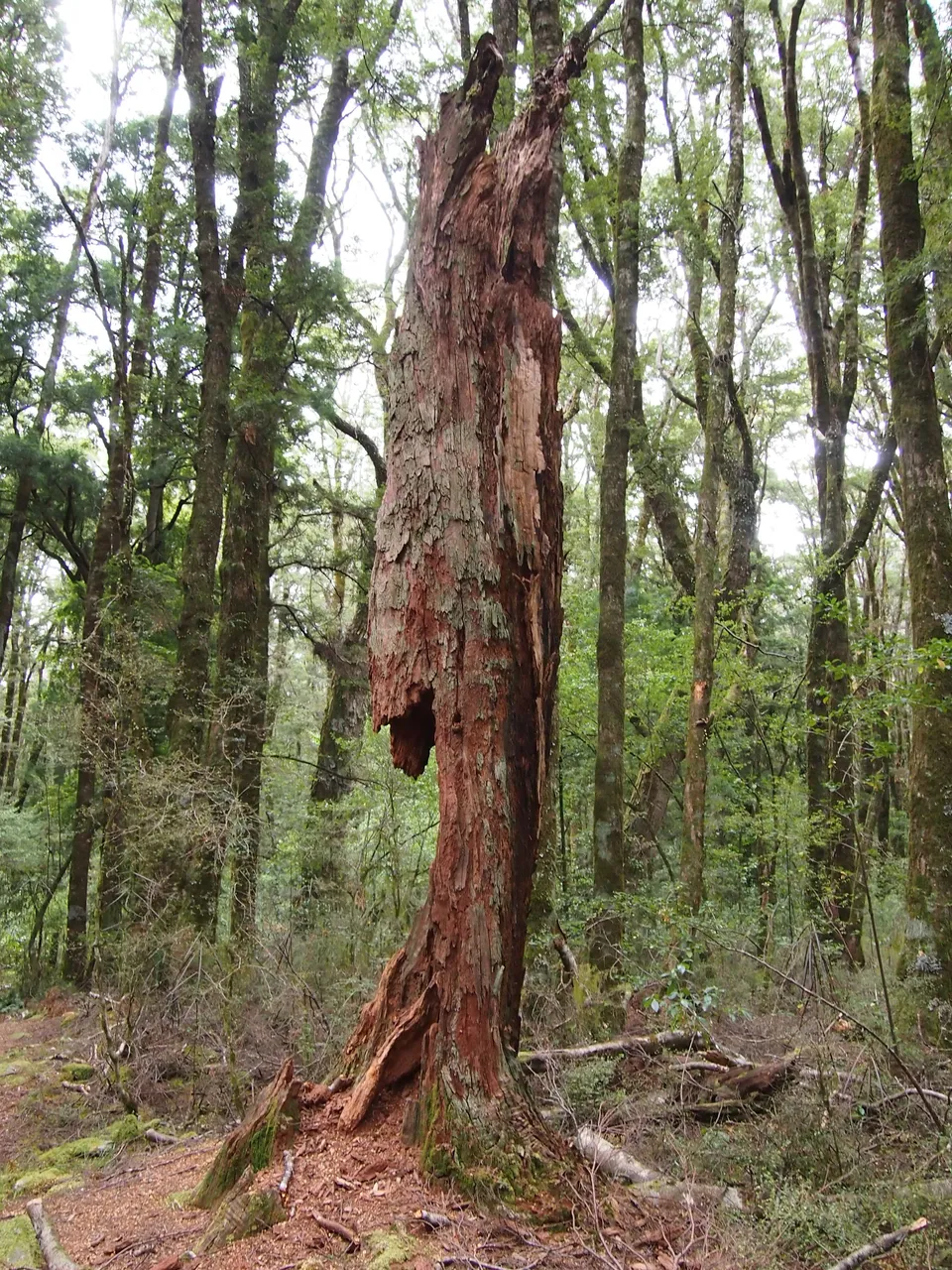 P2032355.JPG