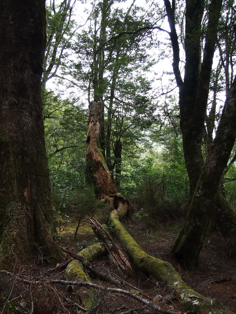 P2032346.JPG
