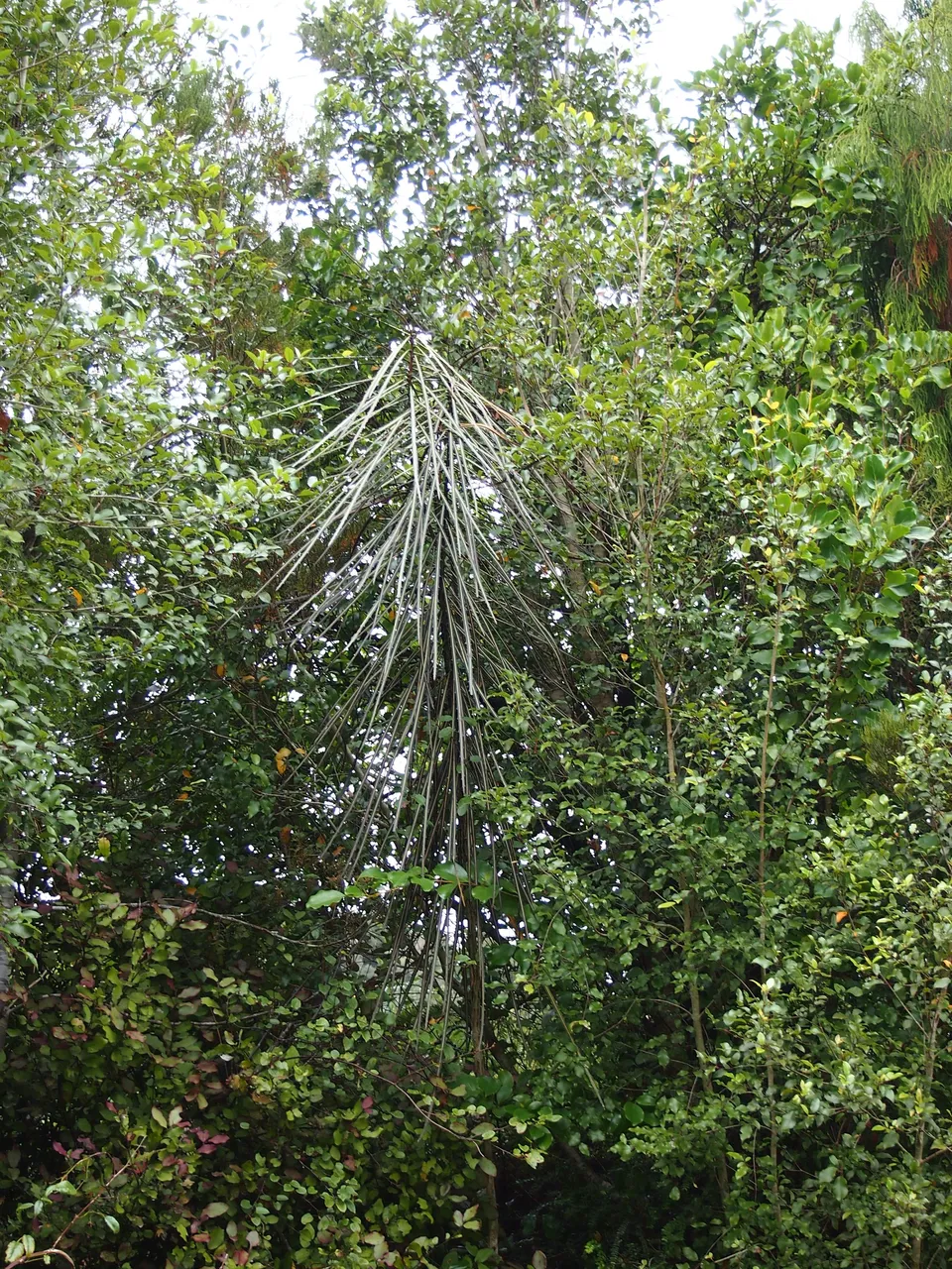 P4052608.JPG
