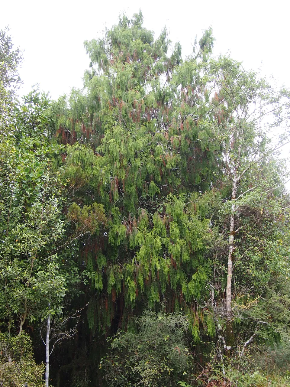 P4052610.JPG