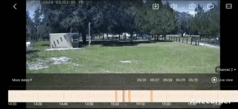 GIF_20250131_102123_349.gif