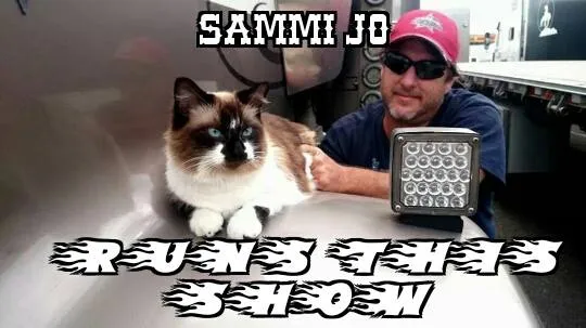 Boss Kitty Sammi Jo Runs Show.jpg