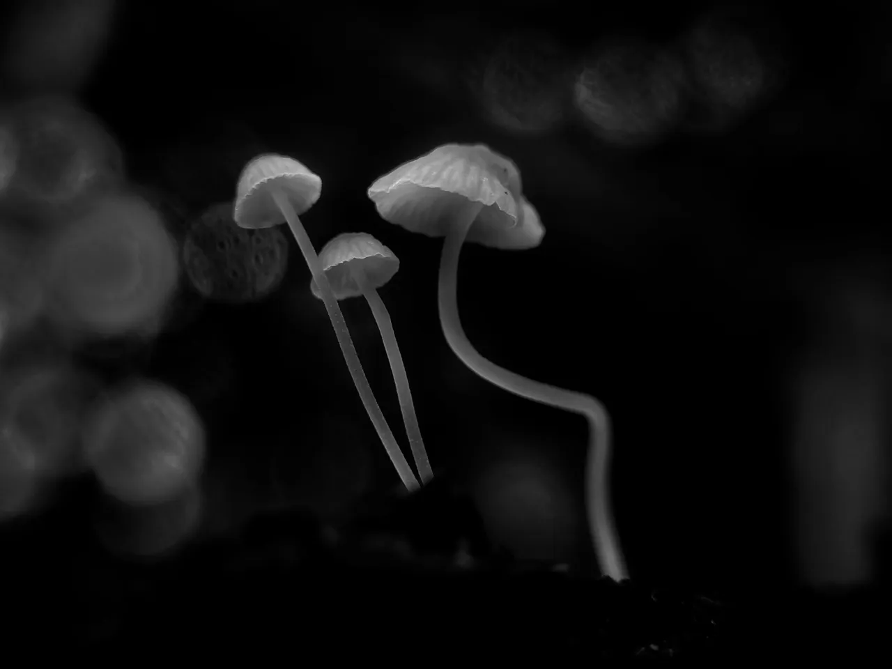 IMG20231111154830-01.jpg