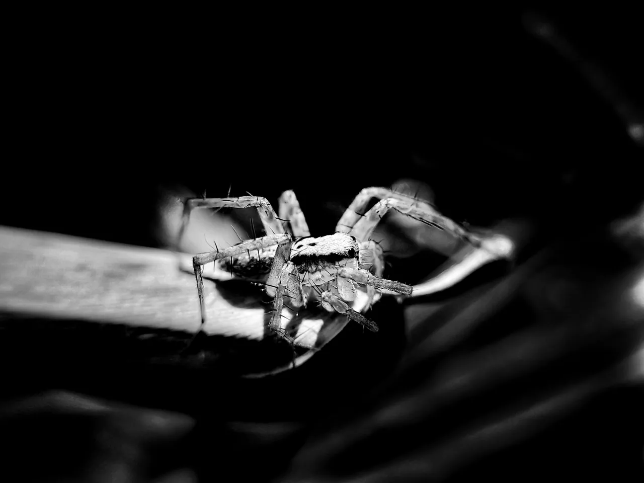 IMG20231026152415-01 (1).jpg