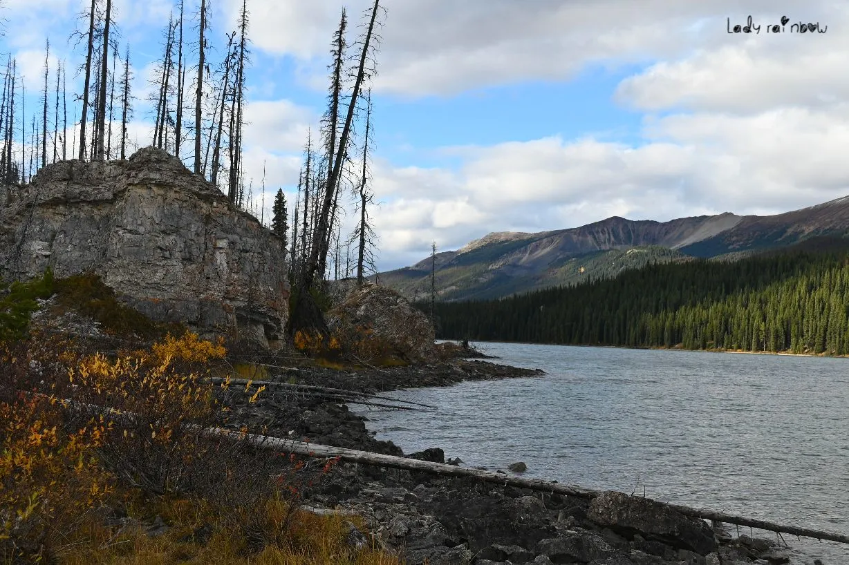 maligne lake (16).jpg