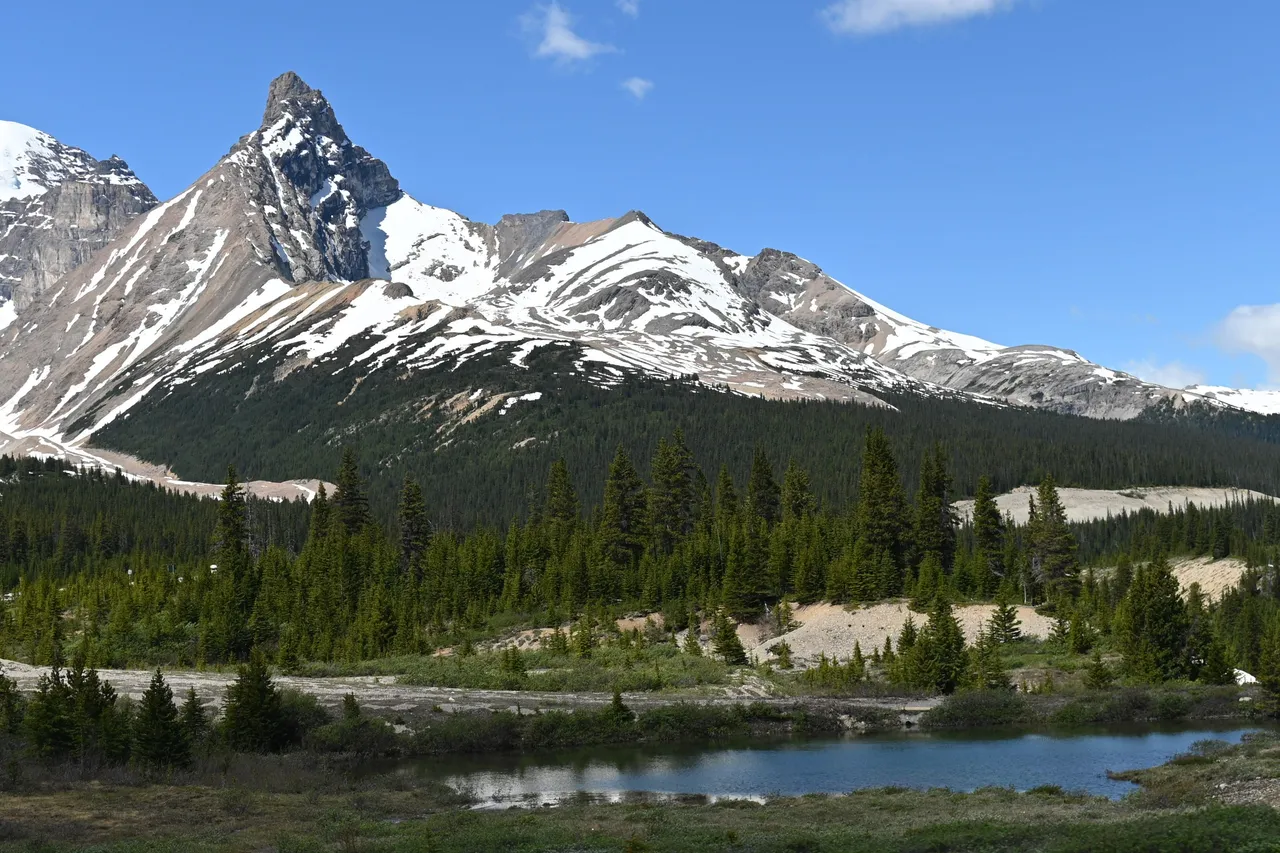 DSC_1333.JPG