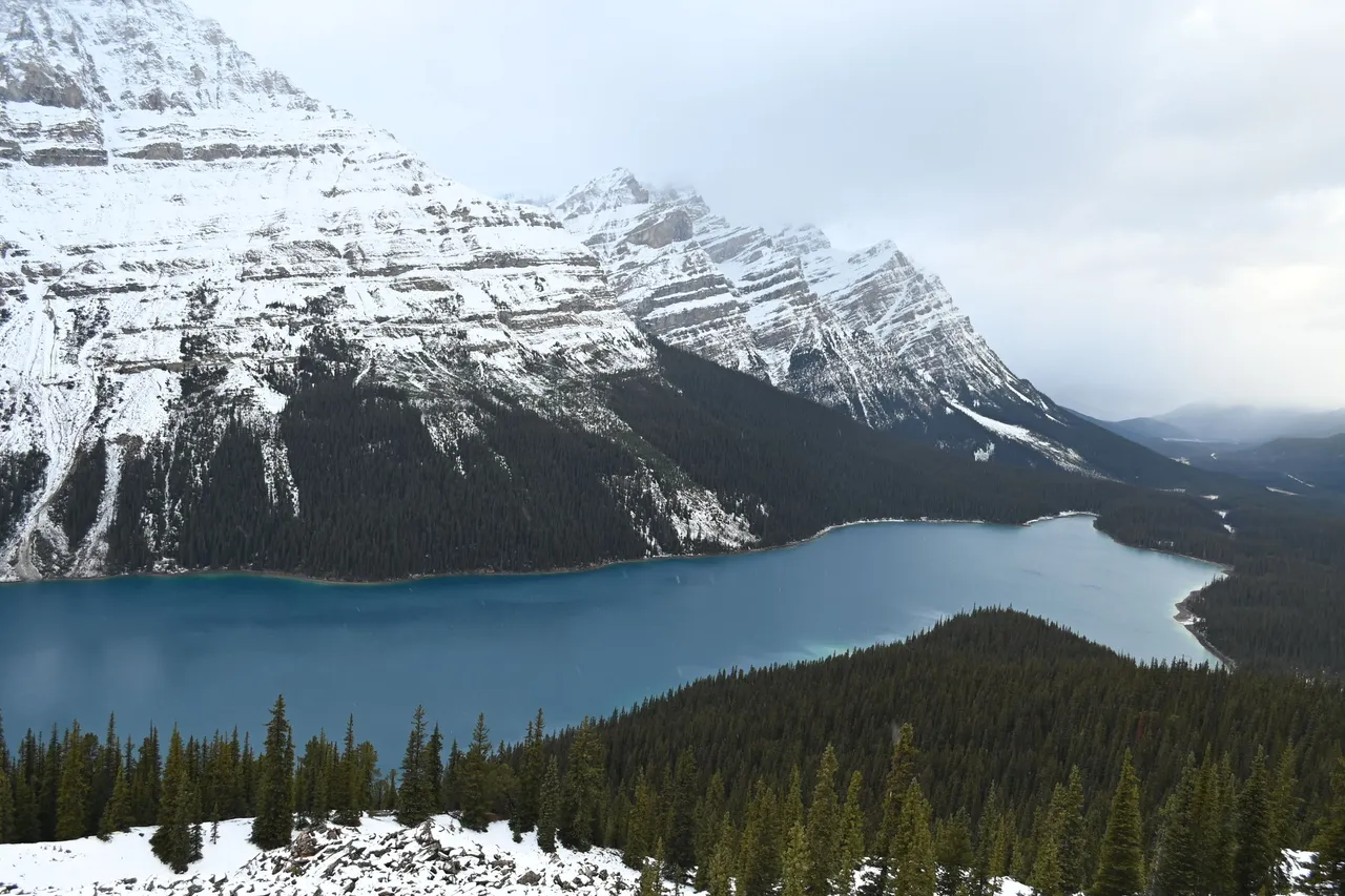DSC_5903.JPG