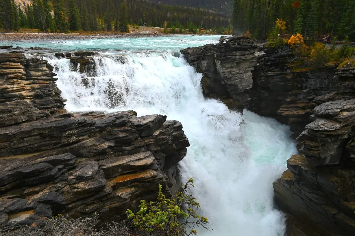 athabasca falls (1).jpg