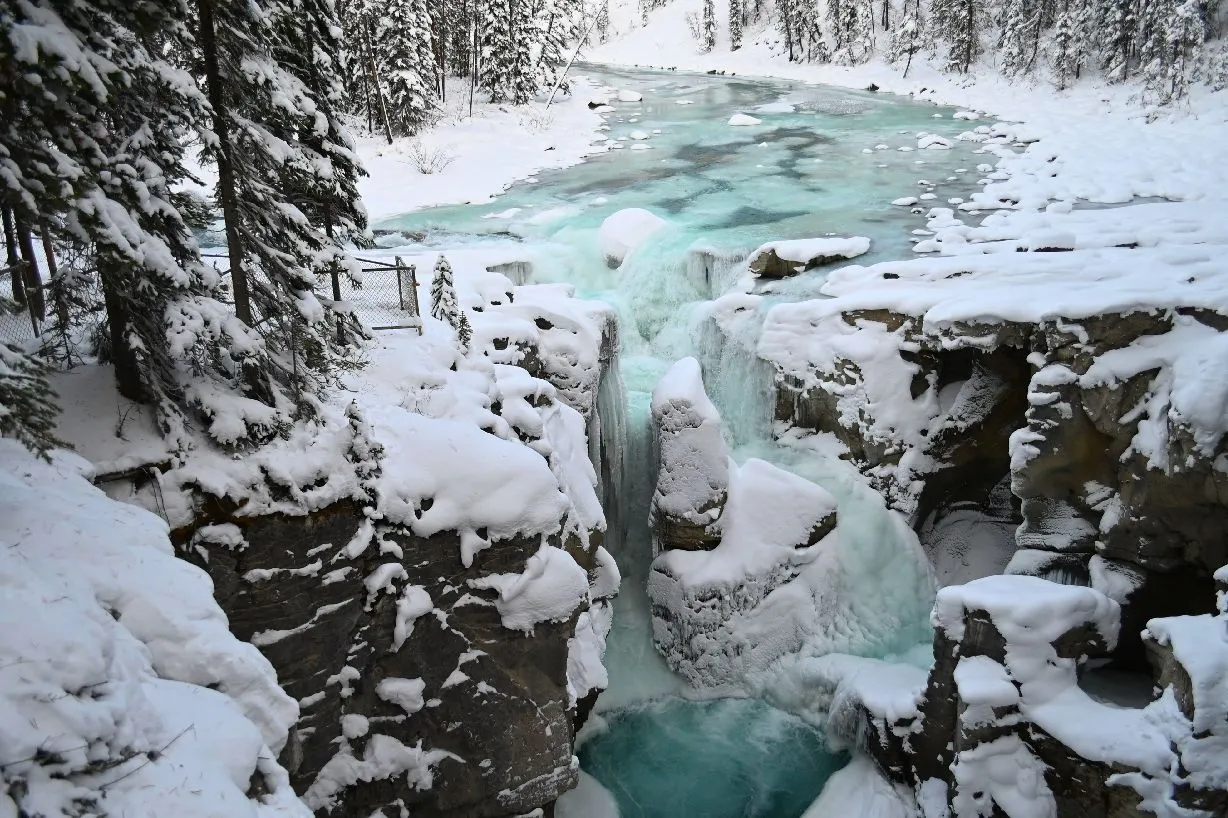 sunwapta (6).jpg