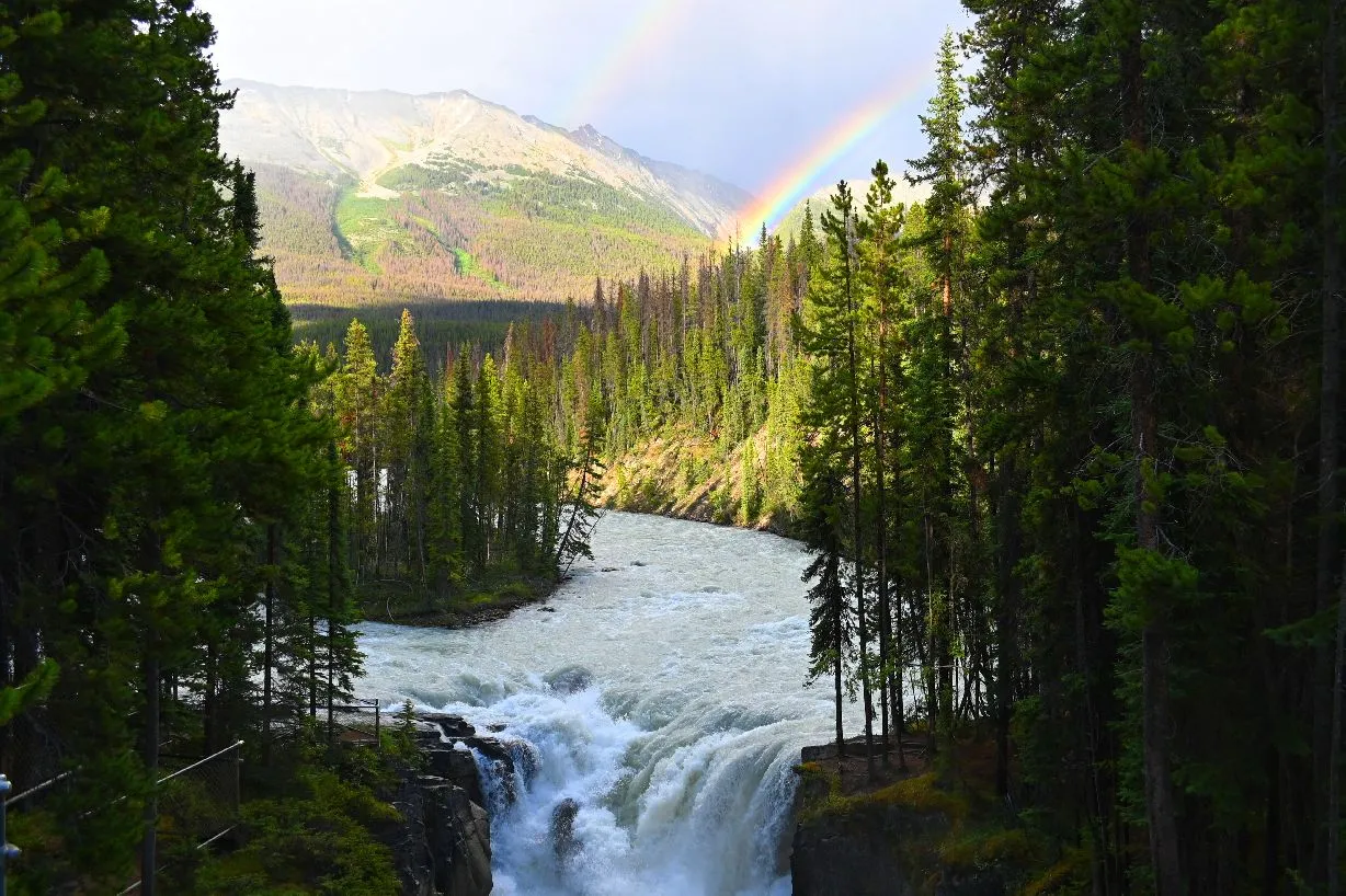 sunwapta falls (1).jpg