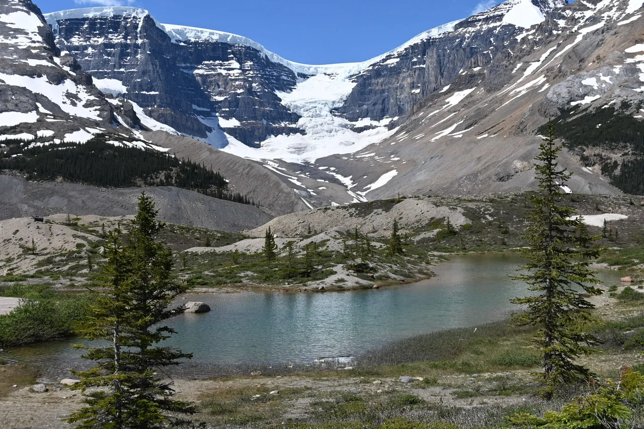 DSC_1370.JPG