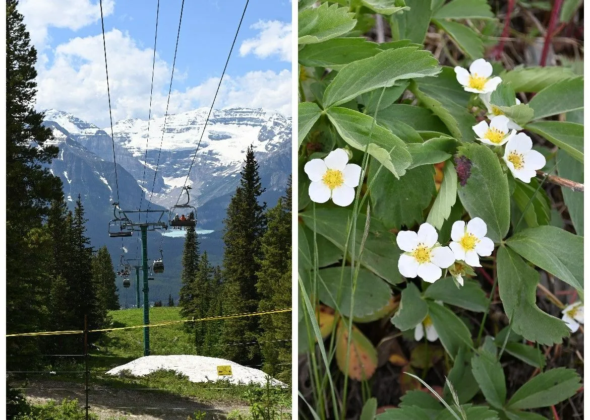 banff (29).jpg